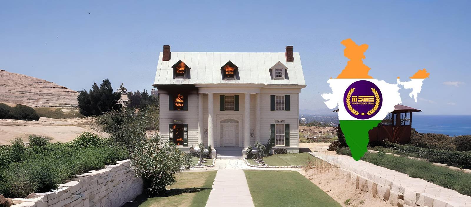 GFO Fireball Extinguisher